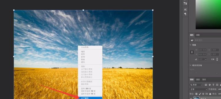 ps里怎么把镜像,怎样用photoshop做公章图11