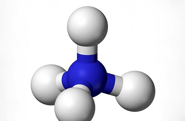 nh3和nh4的区别,Nh3和nh4有什么区别图4