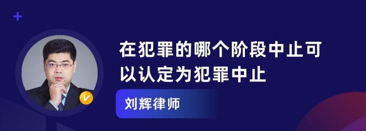 犯罪中止必须符合什么特征,简述犯罪中止的特征图3