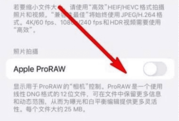 raw文件怎么打开,raw格式照片用什么软件可以看图6