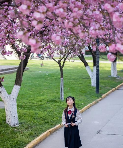 如何拍摄樱花人像照片,樱花人像怎么拍好看图8