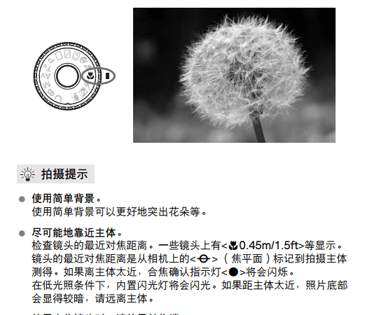 eos60d怎么拍背景虚化,单反怎么照出主像清晰背景模糊的感觉图4