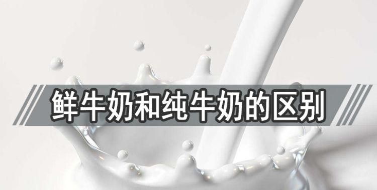 牛乳和鲜牛奶有什么区别,生牛乳与鲜牛奶有什么不同