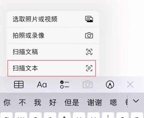 苹果手机iphone 备忘录怎么在字上做标记,苹果备忘录怎么把文字提取出来图9