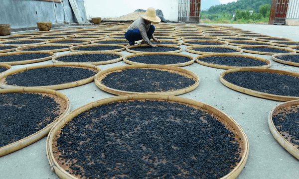 豆豉是什么样子的,豆豉 豆瓣酱 黄豆酱 黄酱 有什么区别图12