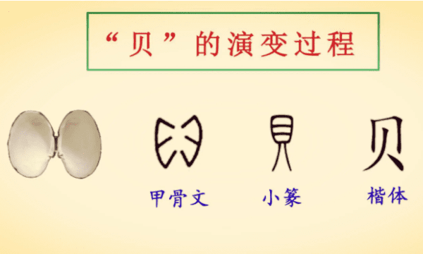 贝字旁的字有什么,贝字旁的字有哪些图1