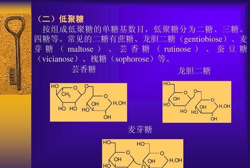 双糖有哪些单糖组成,什么是单双糖