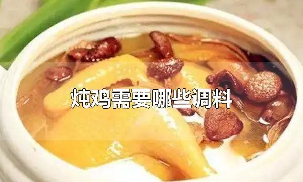 煮鸡肉放什么调料最好,炖鸡肉都用什么调料好吃图3