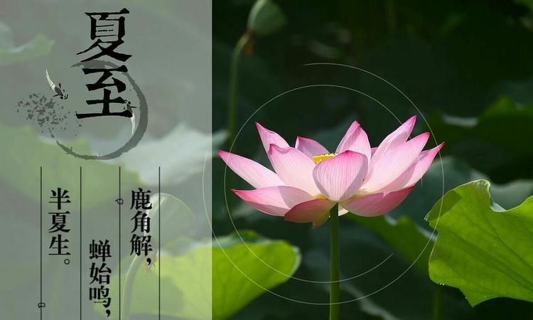 夏至是最热的时候,夏至是一年最热的时候图4