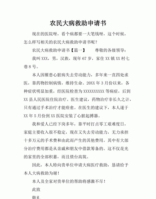 什么样的病可以申请大病补助,什么条件可以享受大病救助图3