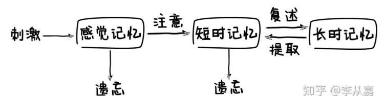 简述短时记忆的特点,短时记忆的基本特点是什么意思