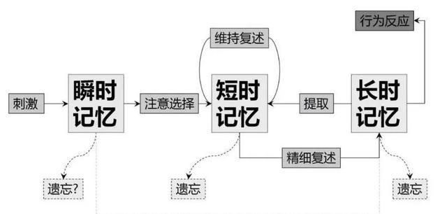 简述短时记忆的特点,短时记忆的基本特点是什么意思图2