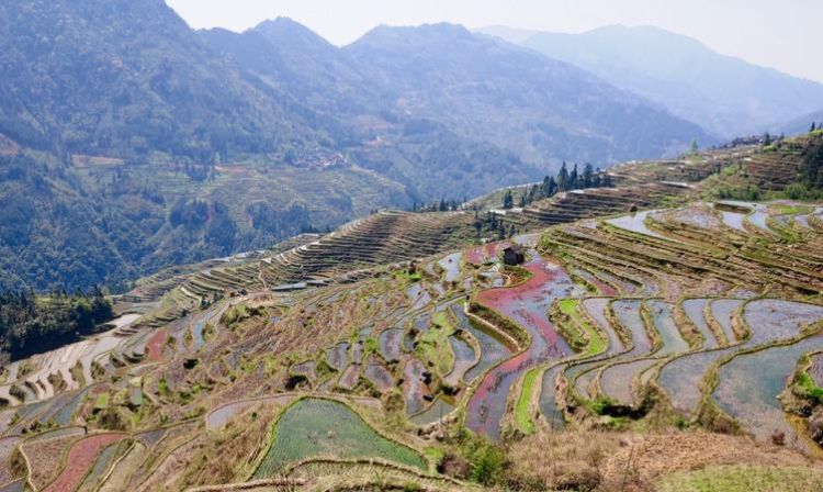 加榜梯田在哪里,贵州黔东南梯田哪里最好看图2