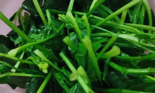 菠菜鸡蛋汤的做法,西红柿菠菜汤的做法图3