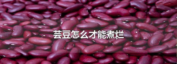 干芸豆要泡多久可以炖,芸豆要泡多久图3