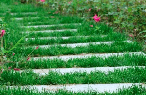 清明节的传统习俗,清明节传统风俗有哪些简单介绍图12