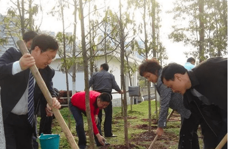 清明节的传统习俗,清明节传统风俗有哪些简单介绍图13