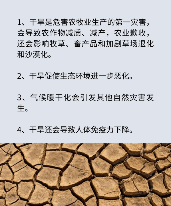 干旱的危害有哪些,旱灾属于什么灾害图4