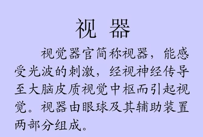 视器由什么和什么组成,试述视器的组成和功能特点