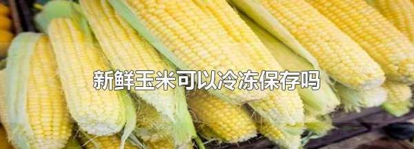 玉米可以放冰箱冷冻,新鲜玉米可以冷冻保存