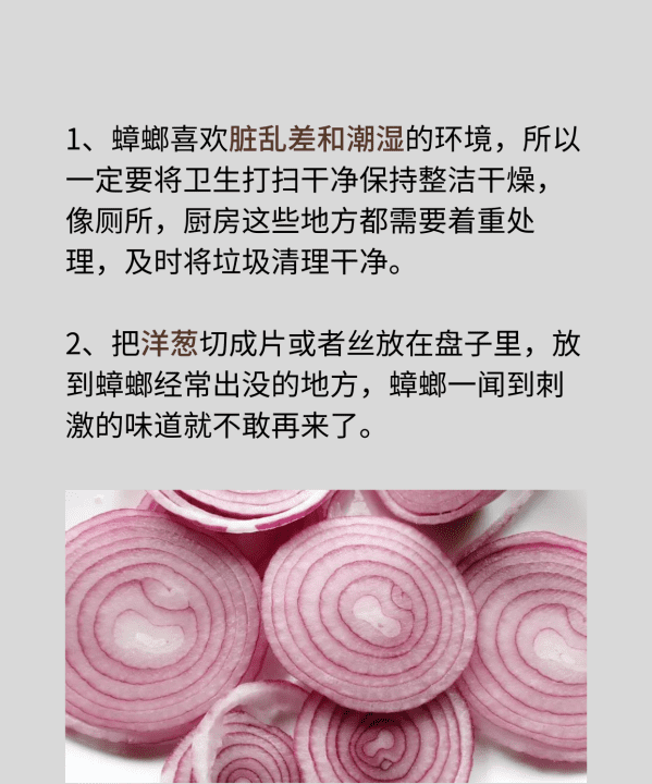 家有蟑螂怎么办,家里发现一只蟑螂怎么办能除根图3