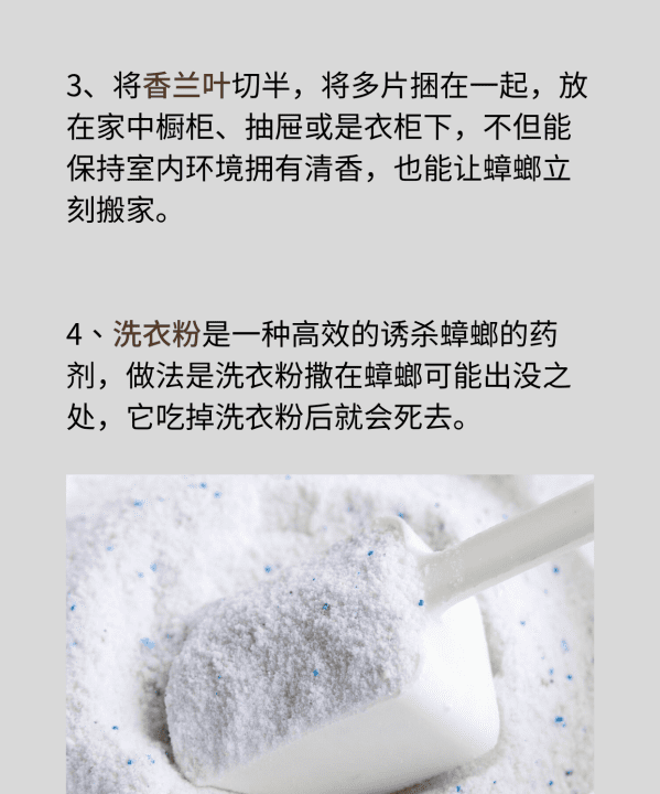 家有蟑螂怎么办,家里发现一只蟑螂怎么办能除根图4