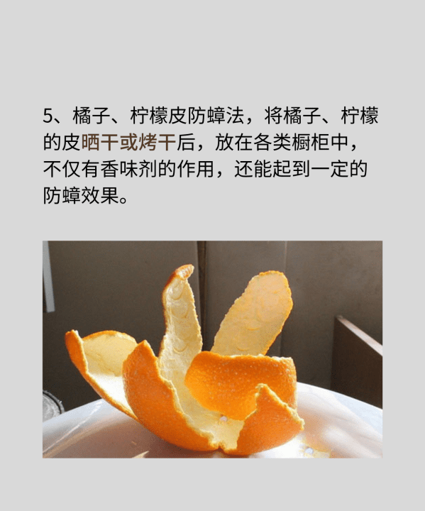 家有蟑螂怎么办,家里发现一只蟑螂怎么办能除根图5