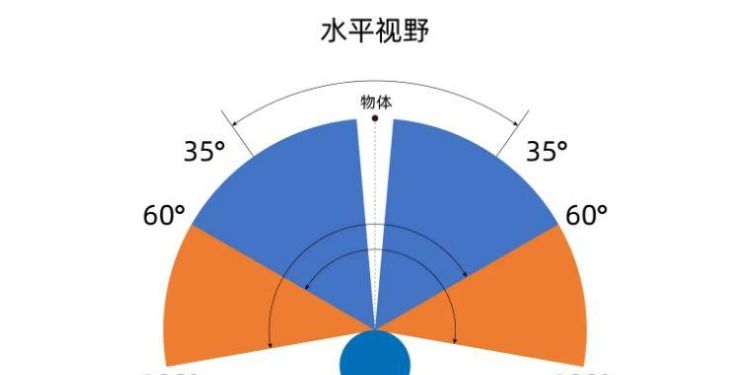 人眼的视角是多少度,人眼正常视角范围是多少图1