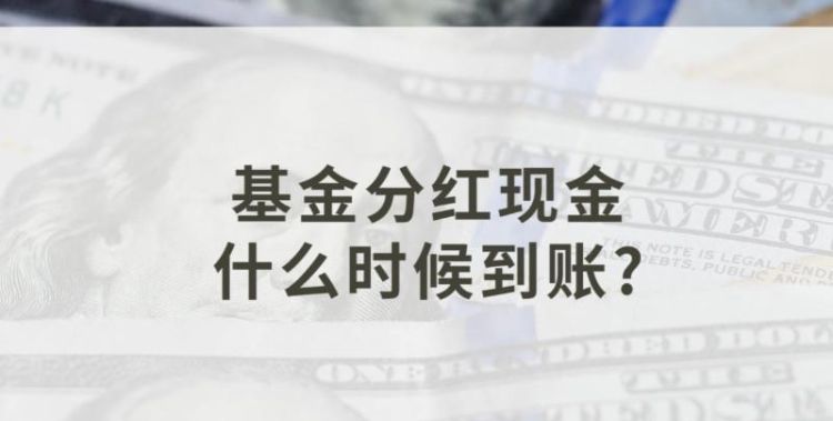 基金分红怎么算的,股东分红计算公式和方法图4