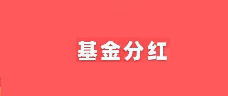 基金分红怎么算的,股东分红计算公式和方法图5