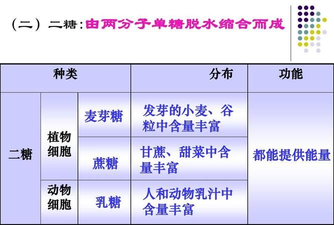 乳糖和白砂糖的区别,乳糖甜度高图3