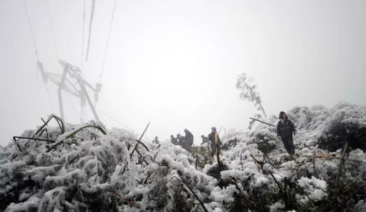 雪灾有哪些危害,冬天下雪对农作物的影响有哪些一般暴雪来袭农作物如何防护_百度...图1