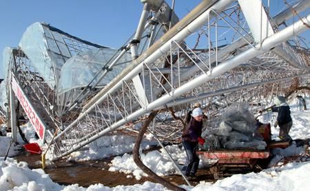 雪灾有哪些危害,冬天下雪对农作物的影响有哪些一般暴雪来袭农作物如何防护_百度...图3