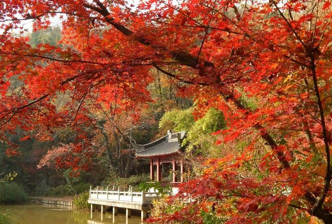 栖霞山免门票时间,南京栖霞山60岁老人免票图10