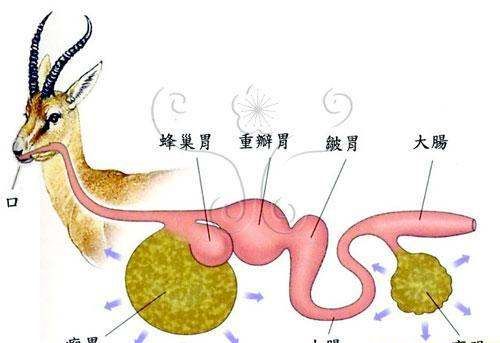 伤感 伤感该怎么解决,心累的伤感配图图4