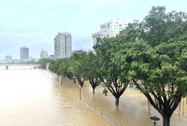 暴雨会引发什么,暴雨会引起什么自然灾害图4