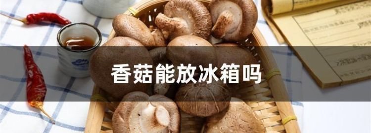 鲜香菇冰箱里面可以放多久,新鲜香菇放冰箱可以放多久不能吃图6