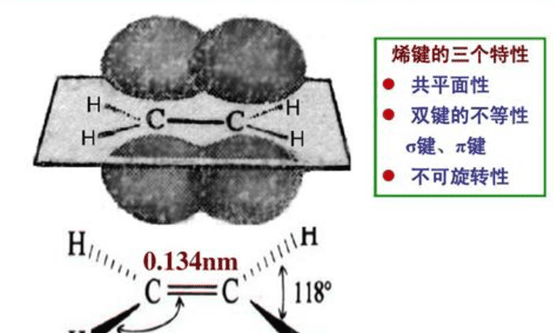 烷和烃的区别,烃分子和烷烃有什么区别图2