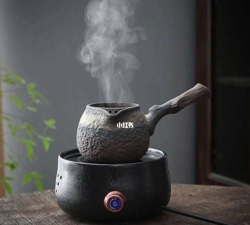 煮茶器适合煮什么茶,煮茶器煮普洱茶第一遍要倒掉图4