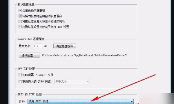 怎么卸载camera raw,ps拉进时会出现camera raw设置怎么去掉图5