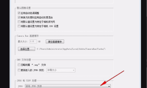 怎么卸载camera raw,ps拉进时会出现camera raw设置怎么去掉图6