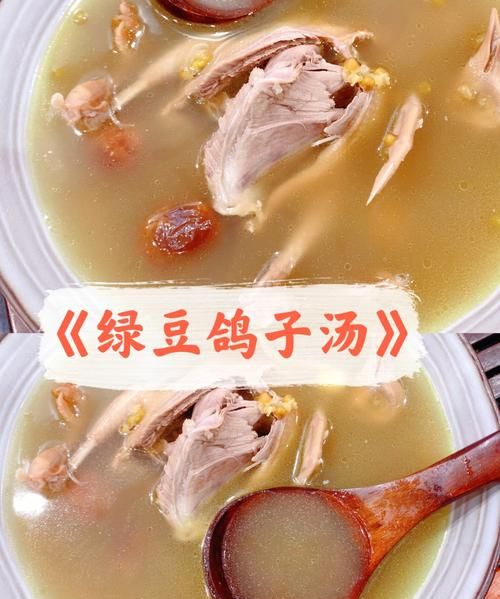 绿豆白鸽汤做法,鸽子绿豆汤的做法与功效与作用图1