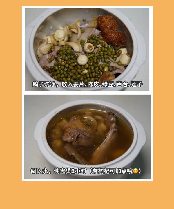 绿豆白鸽汤做法,鸽子绿豆汤的做法与功效与作用图16