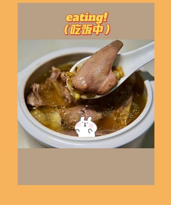 绿豆白鸽汤做法,鸽子绿豆汤的做法与功效与作用图17