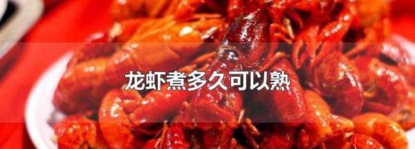 2斤大龙虾煮多久能熟,波士顿龙虾要煮多久才熟图2