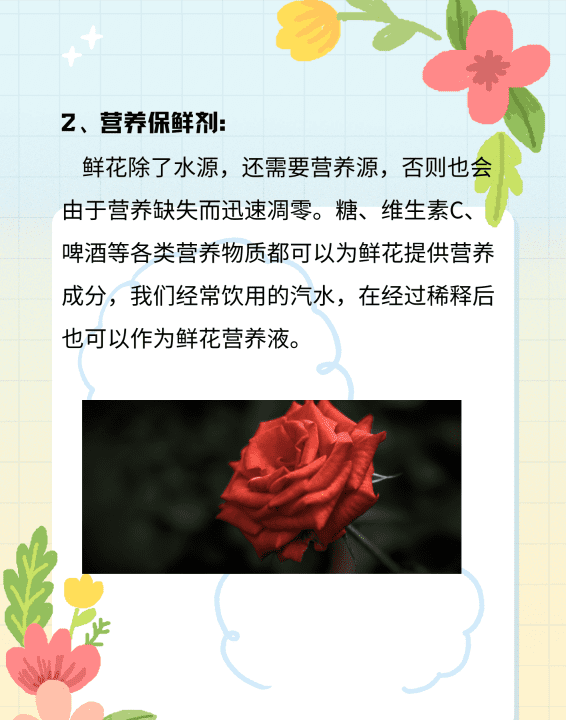 鲜花保鲜剂 配方,怎么能让鲜花保鲜时间长图3