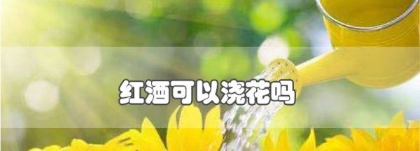 红酒可以浇花,剩下的红酒能不能浇花图3