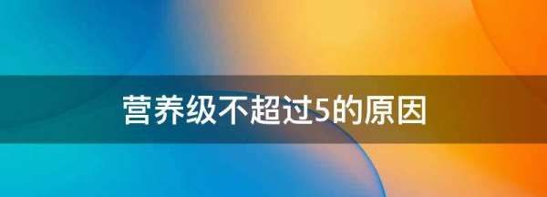 营养级不超过5的原因,营养级不超过5的原因图3