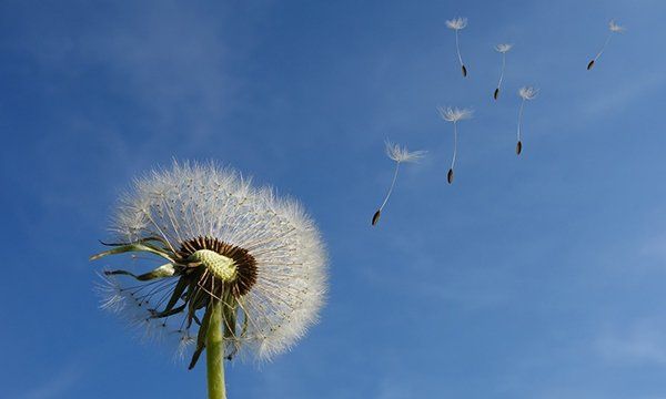 5级风算不算大,5级风算大风图4