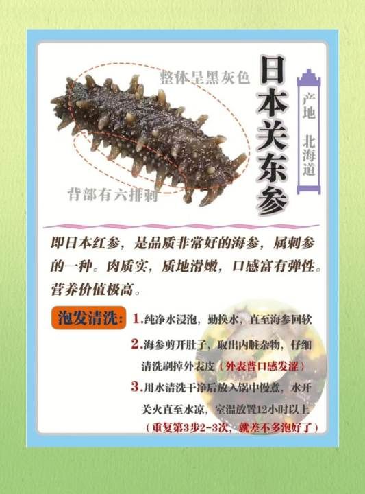 海参的特点有哪些,海参的十大神奇功效图7